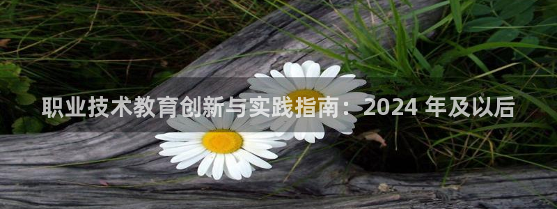 j9国际站官网首页直达|职业技术教育创新与实践指南：2024 年及以后